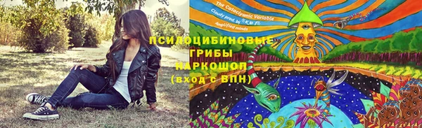 прущий лед Алексин