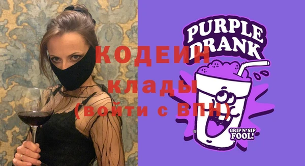 хмурый Арсеньев