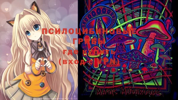 молекула духа Армянск