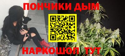 мдпв Кингисепп