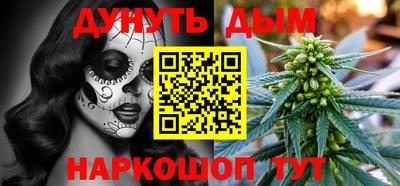 мдпв Кингисепп
