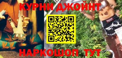мдпв Кингисепп