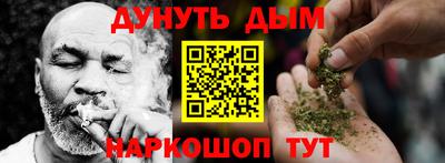 мдпв Кингисепп