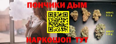 мдпв Кингисепп