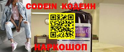 мдпв Кингисепп