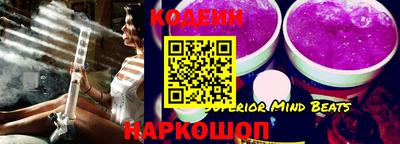 мдпв Кингисепп