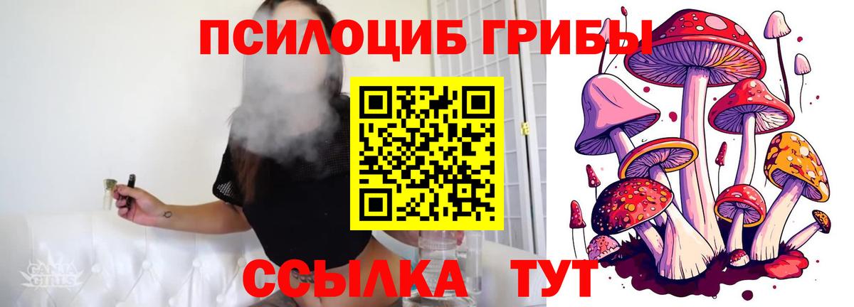 Псилоцибиновые грибы Psilocybine cubensis  Галлюциногенные грибы прущие грибы  Вход с VPN  Коломна 