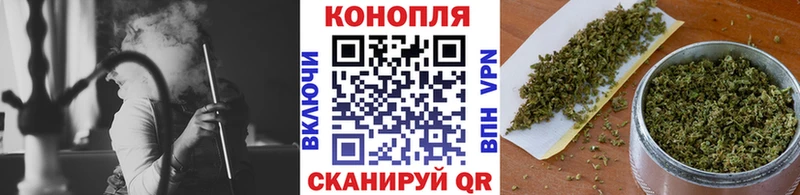 где продают наркотики  Коломна  Канабис планчик 